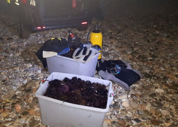 Operazione “riccio di mare”: a civitavecchia fermati due pescatori di frodo