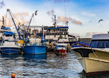 Salviamo la pesca: Le organizzazioni di Francia, Spagna e Italia scrivono ai ministeri, Unci Agroalimentare tra i firmatari