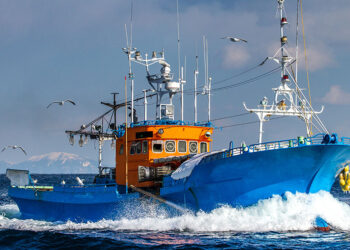 Nuova eventuale riduzione giornate di pesca. Assessore regione Veneto: misura del tutto inaccettabile