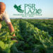 Da regione Lazio ulteriori 282 mln il programma di sviluppo rurale 21/22