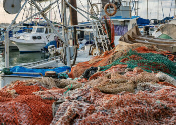 Pesca, quasi 3 mln euro per imprese Lazio nel 2021