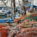Pesca, quasi 3 mln euro per imprese Lazio nel 2021