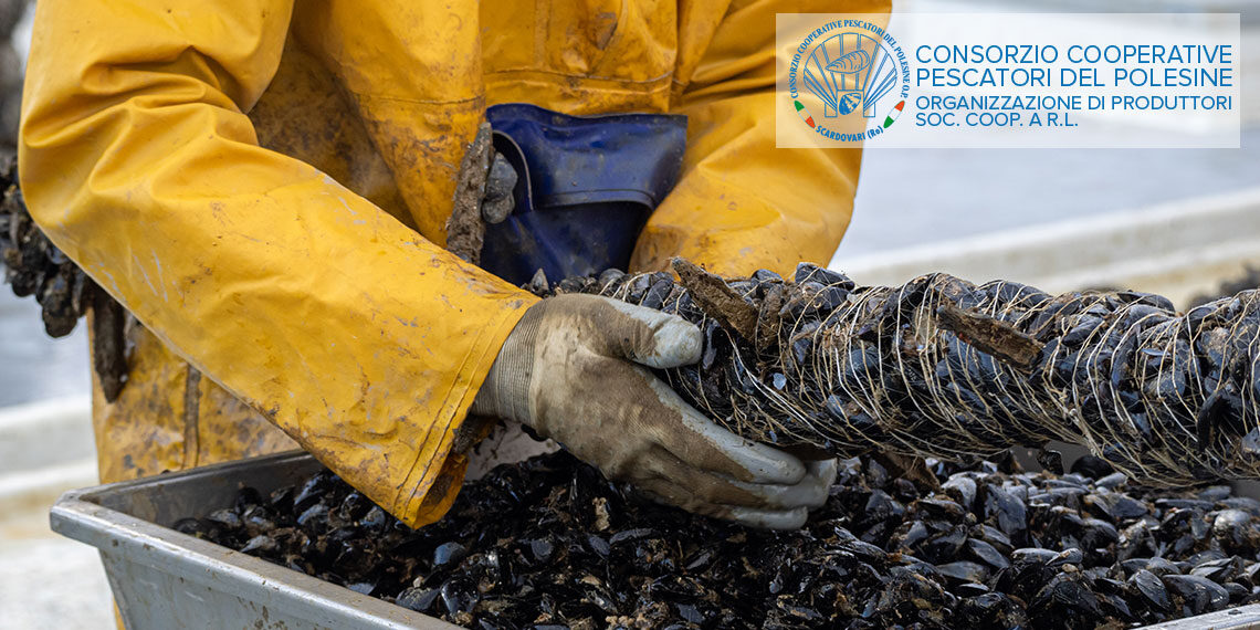 Assessore Corazzari, “Regione del Veneto è al fianco dei pescatori per risolvere i problemi”