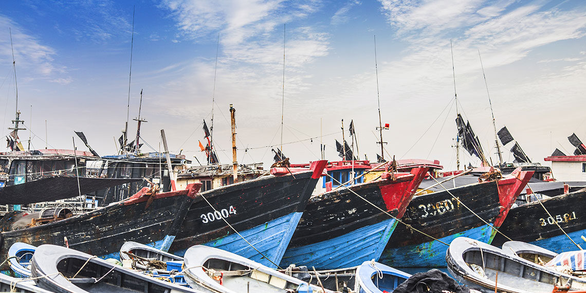 L’Europa autorizza aiuti di stato a sostegno della pesca. Zaia, “bene, ora puntiamo a una compensazione economica per ristorare il fermo pesca”
