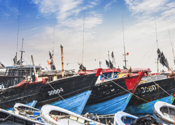 L’Europa autorizza aiuti di stato a sostegno della pesca. Zaia, “bene, ora puntiamo a una compensazione economica per ristorare il fermo pesca”