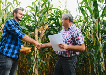 Ok a legge su piccole produzioni agricole