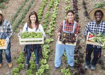 Lavoro: oltre 1,1 mln occupati nelle cooperative