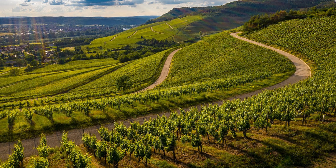 Agricoltura, Lazio: Oltre 15 milioni e 600mila euro a 64 comuni per le infrastrutture agricole