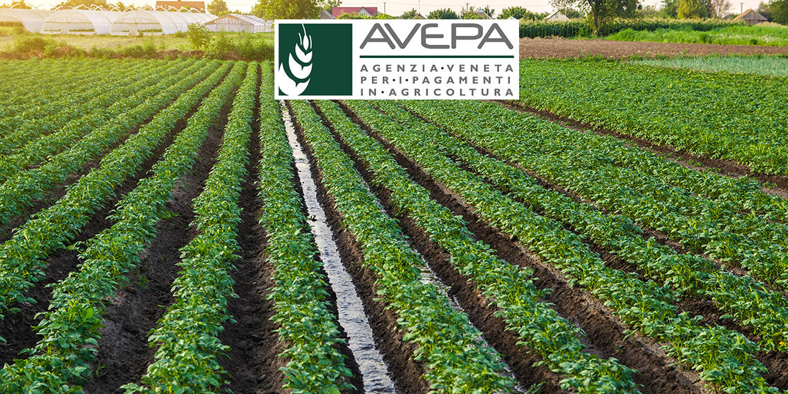 Veneto, campagna aiuti 2022 conclusa con successo grazie ad AVEPA e al nuovo sistema informativo