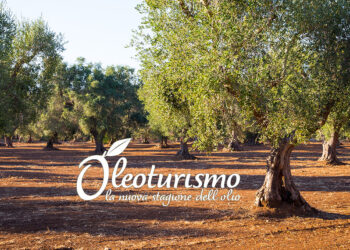 Presentata a Roma la prima guida sull’Oleoturismo