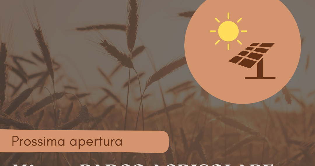 – 𝗔𝗚𝗥𝗜𝗦𝗢𝗟𝗔𝗥𝗘 –