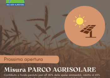 – 𝗔𝗚𝗥𝗜𝗦𝗢𝗟𝗔𝗥𝗘 –