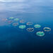Richiesta di manifestazione di interesse per la selezione di partners per la realizzazione del Programma Nazionale triennale della Pesca ed Acquacoltura