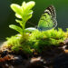 Biodiversità, specie aliene e cambiamento climatico negli ambienti di transizione