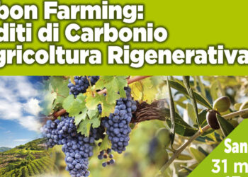 Carbon Farming e Agricoltura Rigenerativa a San Severo(FG)