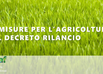 Le misure per l’agricoltura nel decreto rilancio