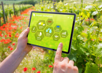 Avviso Pubblico per la Presentazione di Progetti Pilota per la Promozione e lo Sviluppo dell’Agricoltura di Precisione 2024