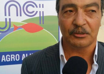Unci AgroAlimentare: in Puglia piccole barche e comunità pescatori affamati dalla Ue