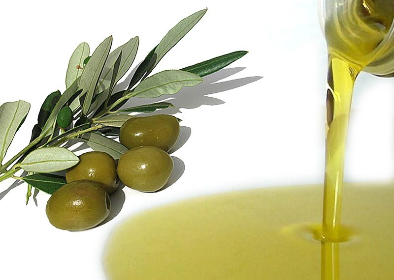 Unci AgroAlimentare: Piano Olivicolo Italiano 2026–2031, un passo decisivo per una strategia nazionale stabile e condivisa