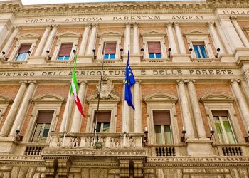 Con il Masaf imboccata strada giusta per fronteggiare crisi pesca e acquacoltura