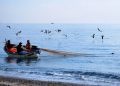 Al via il “Progetto Nasello”: sostenibilità e ricerca per la piccola pesca costiera in Campania