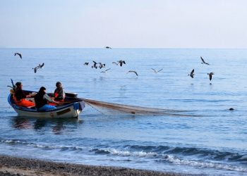 Al via il “Progetto Nasello”: sostenibilità e ricerca per la piccola pesca costiera in Campania