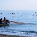 Al via il “Progetto Nasello”: sostenibilità e ricerca per la piccola pesca costiera in Campania